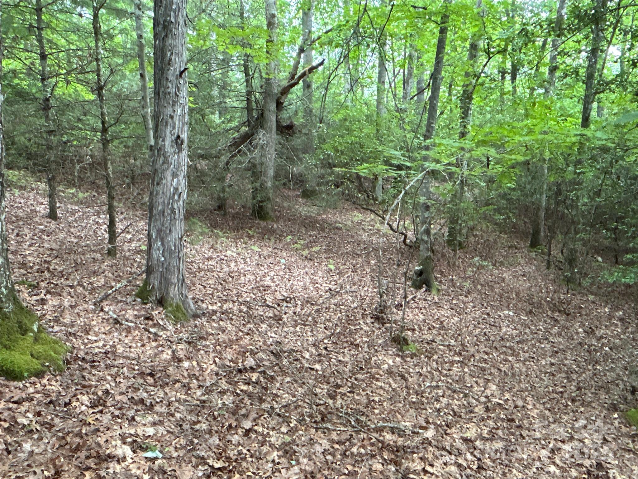 55 Locust Court Pisgah Forest NC 28768