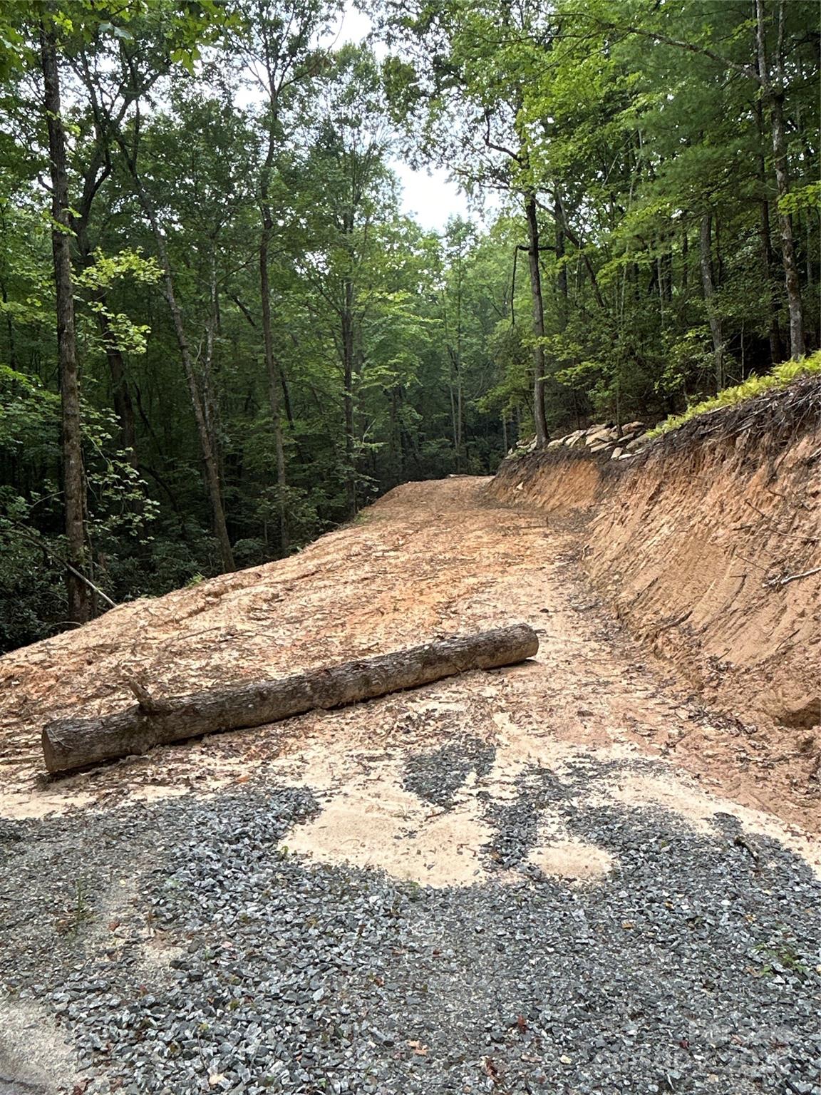55 Locust Court Pisgah Forest NC 28768