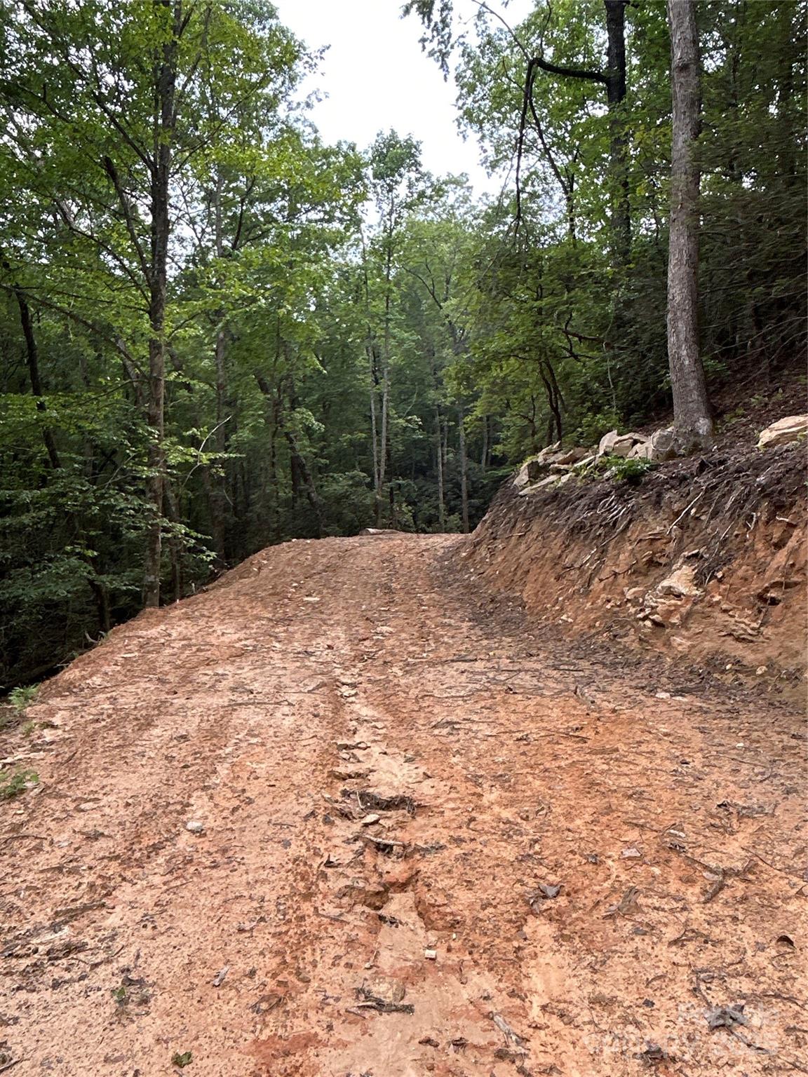 55 Locust Court Pisgah Forest NC 28768