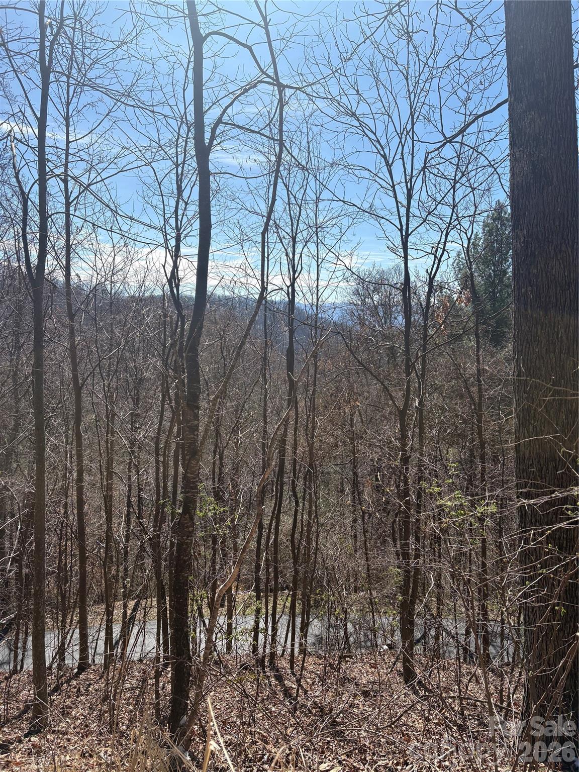 344 Running Deer Lane Mars Hill NC 28754