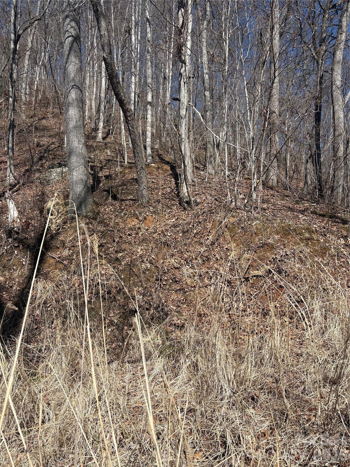 344 Running Deer Lane Mars Hill NC 28754
