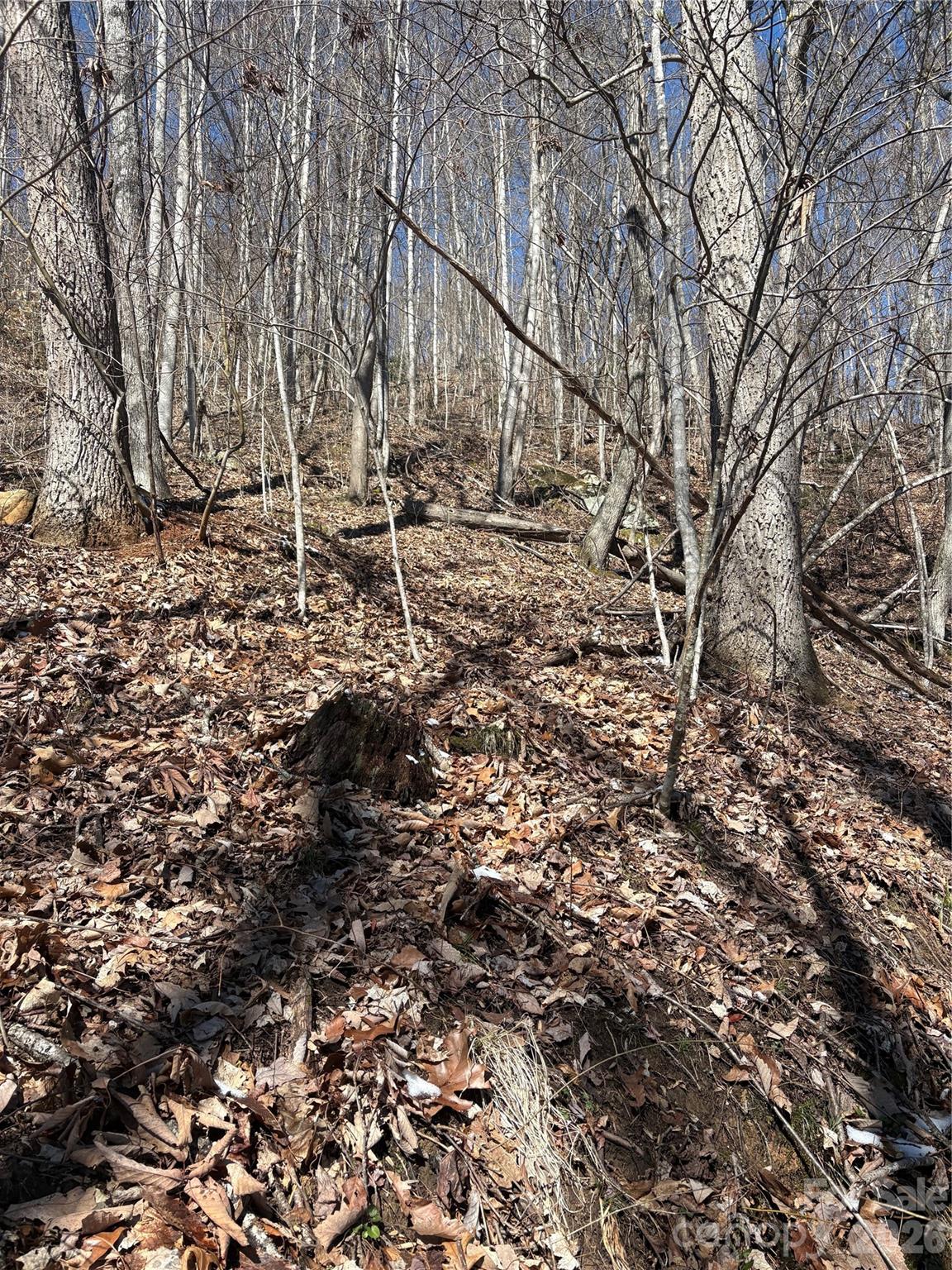 344 Running Deer Lane Mars Hill NC 28754