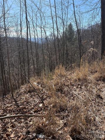 344 Running Deer Lane Mars Hill NC 28754