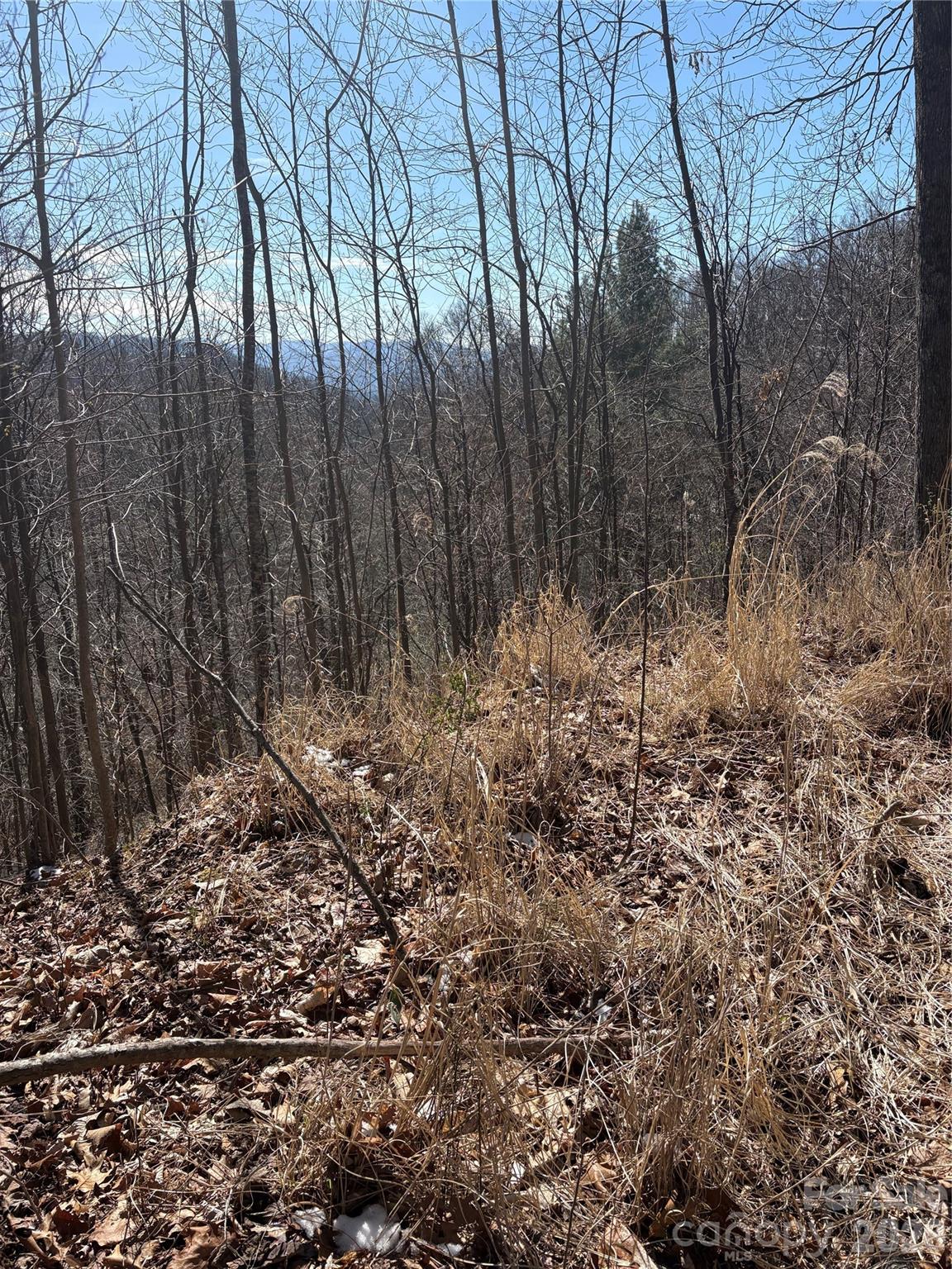 344 Running Deer Lane Mars Hill NC 28754