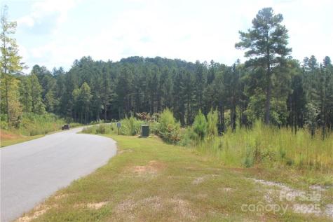 2226 Inlet Shore Road NE Connelly Springs NC 28612