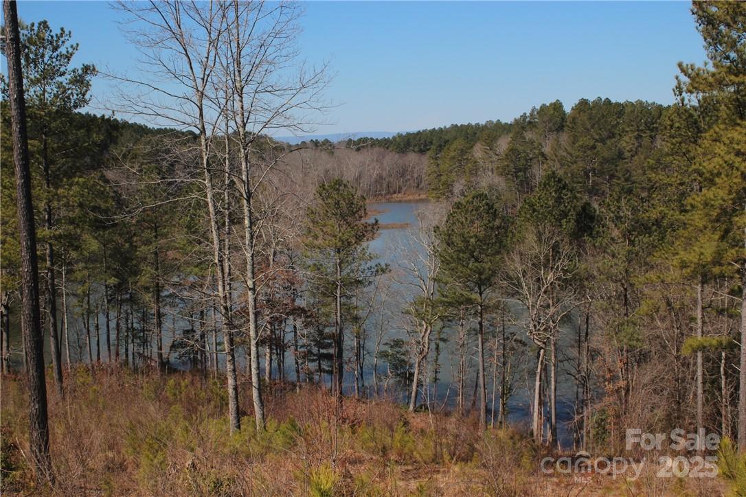 2226 Inlet Shore Road NE Connelly Springs NC 28612