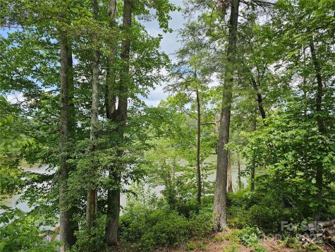 2226 Inlet Shore Road NE Connelly Springs NC 28612