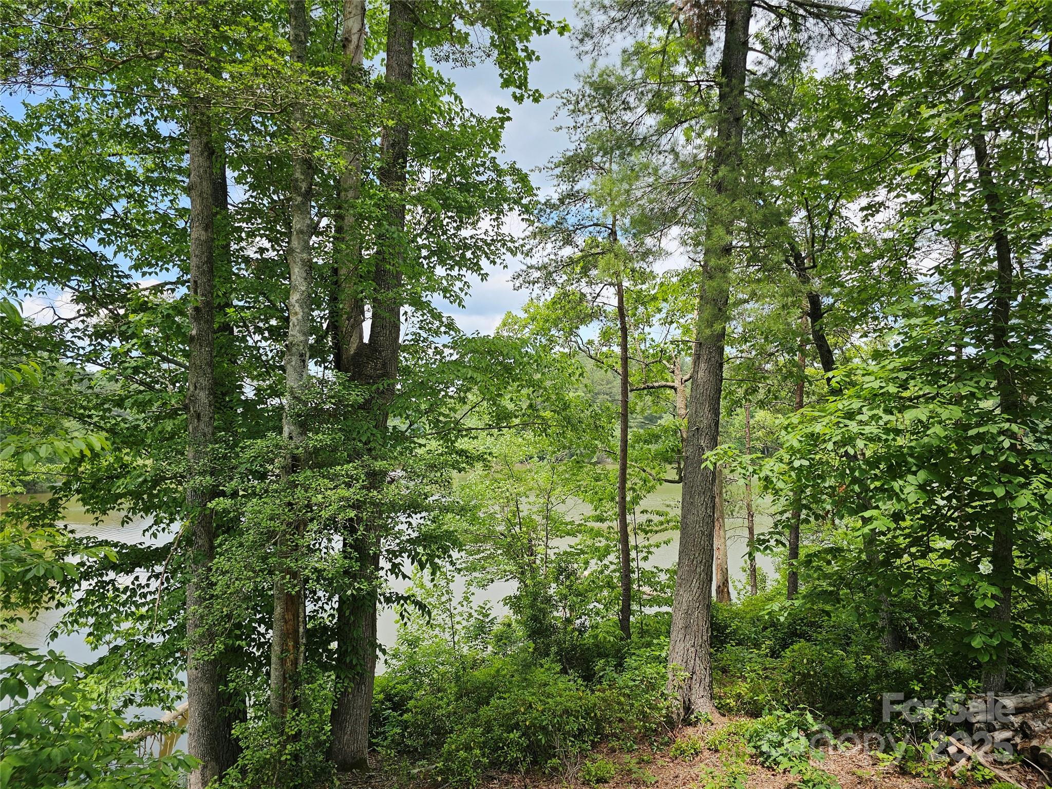 2226 Inlet Shore Road NE Connelly Springs NC 28612