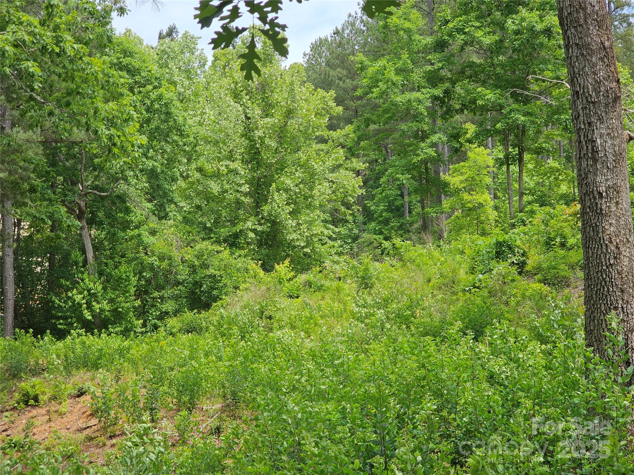 2226 Inlet Shore Road NE Connelly Springs NC 28612