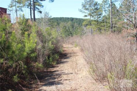 2226 Inlet Shore Road NE Connelly Springs NC 28612
