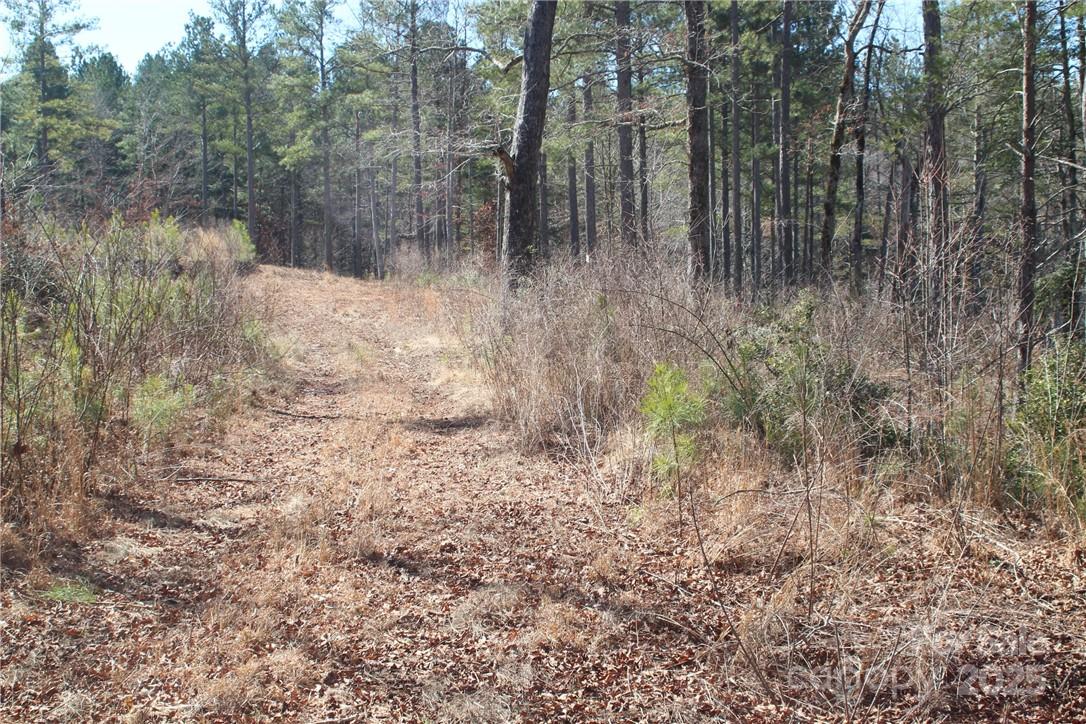 2226 Inlet Shore Road NE Connelly Springs NC 28612