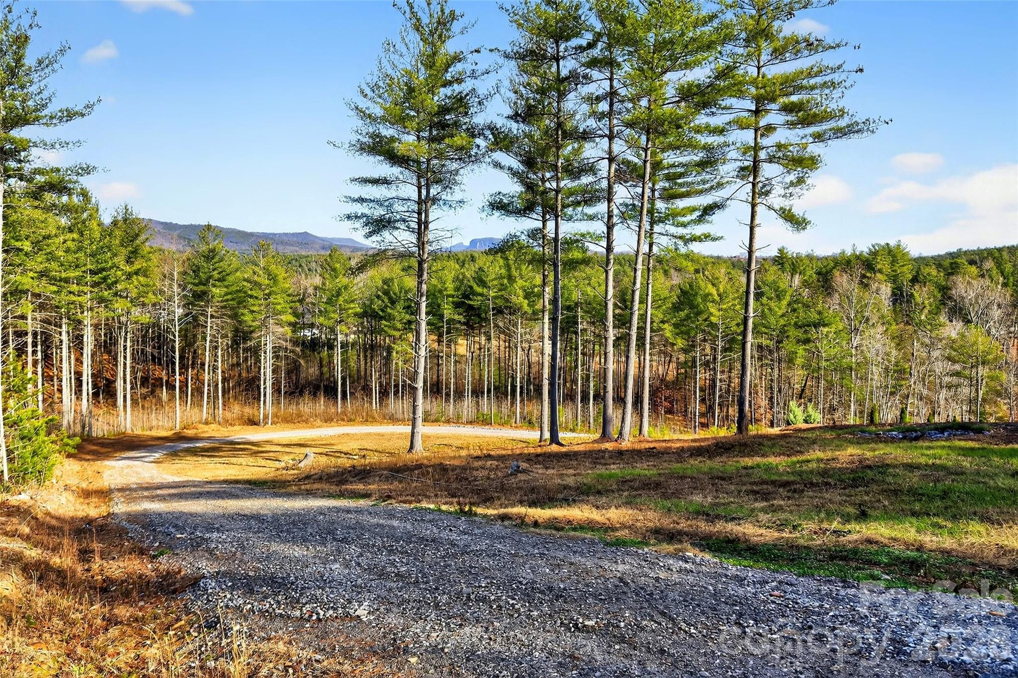 183 Crest View Drive NE Nebo NC 28761