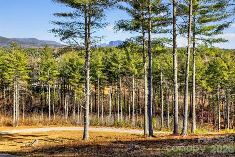 183 Crest View Drive NE Nebo NC 28761