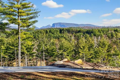 183 Crest View Drive NE Nebo NC 28761
