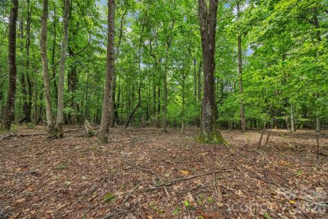 0 Pike Road Moravian Falls NC 28654