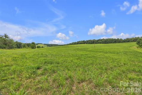 0 Pike Road Moravian Falls NC 28654