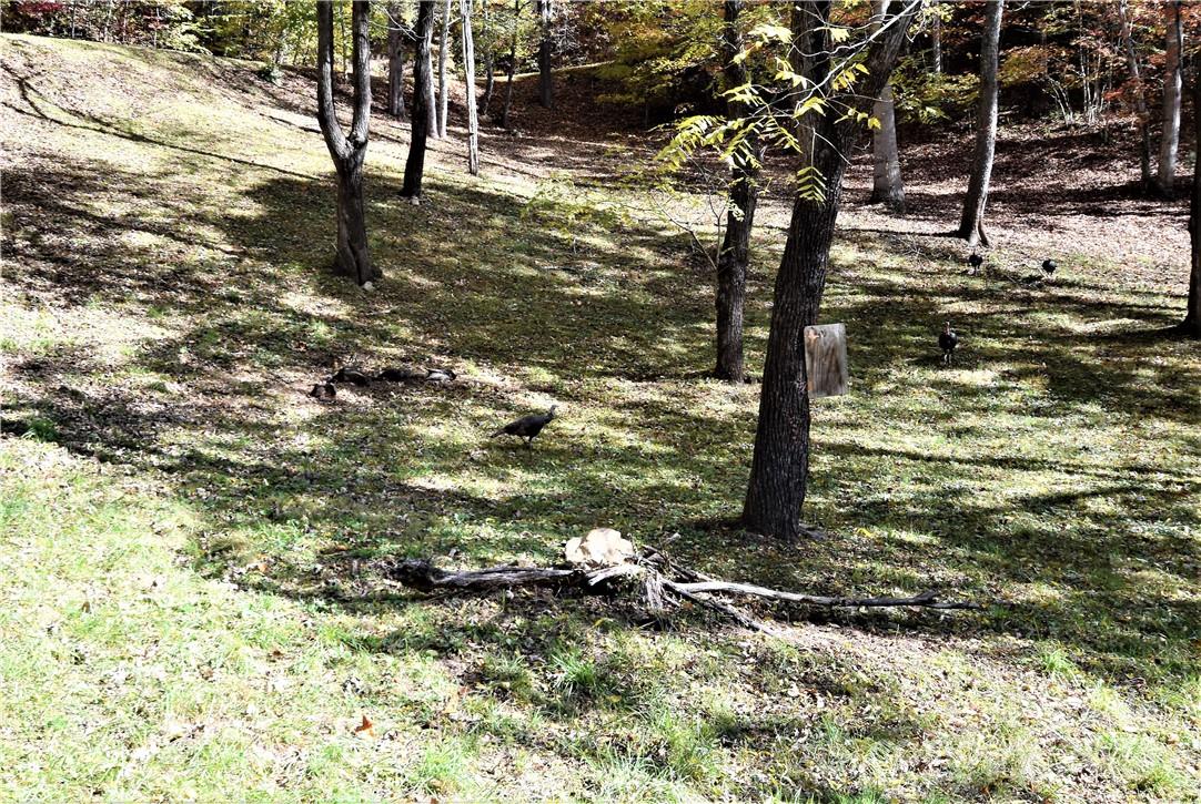 115 B Campbell Mountain Drive Waynesville NC 28785