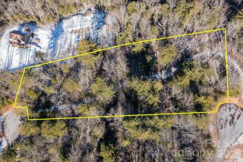 999 Trellum Trail Hendersonville NC 28739