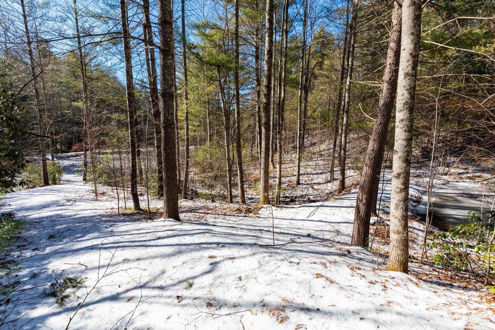 999 Trellum Trail Hendersonville NC 28739