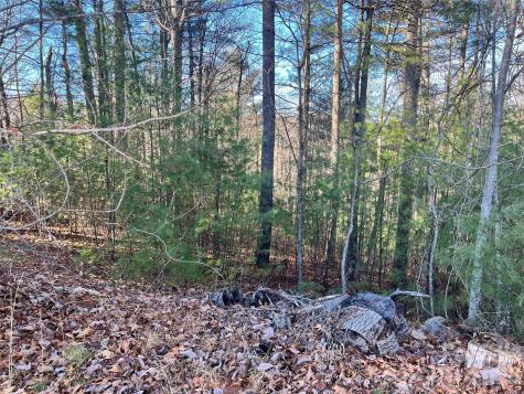 999 Trellum Trail Hendersonville NC 28739