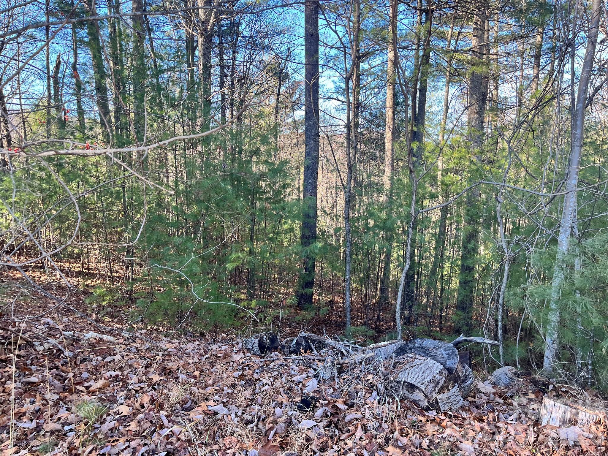 999 Trellum Trail Hendersonville NC 28739
