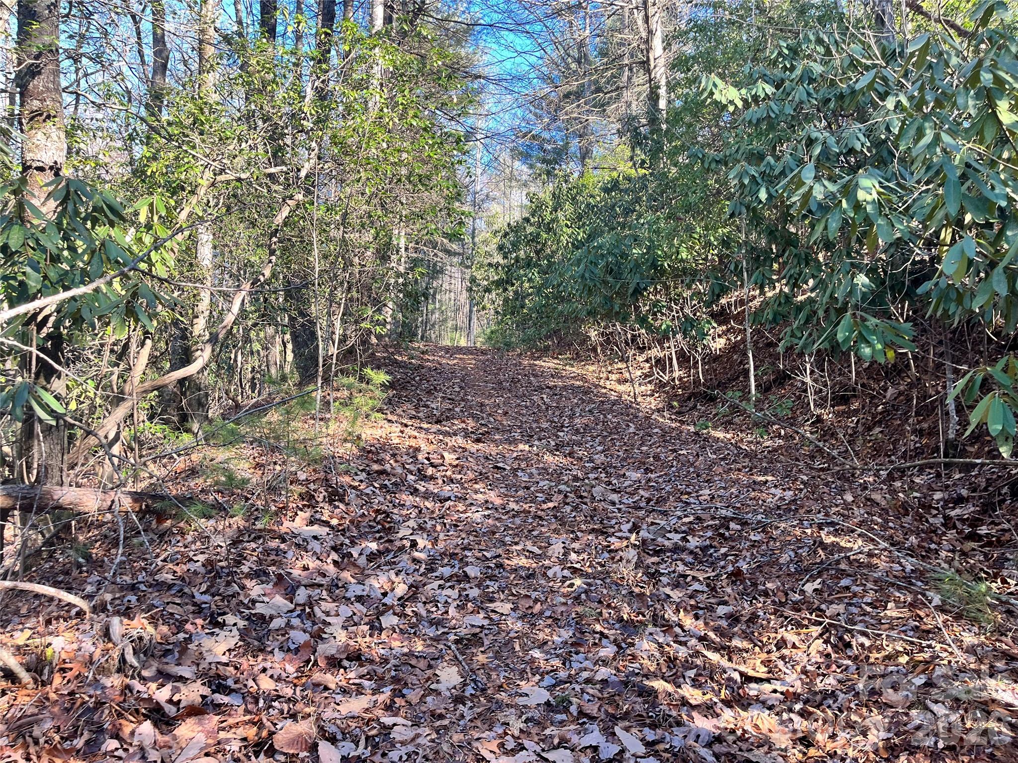 999 Trellum Trail Hendersonville NC 28739