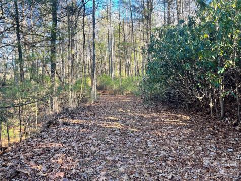 999 Trellum Trail Hendersonville NC 28739