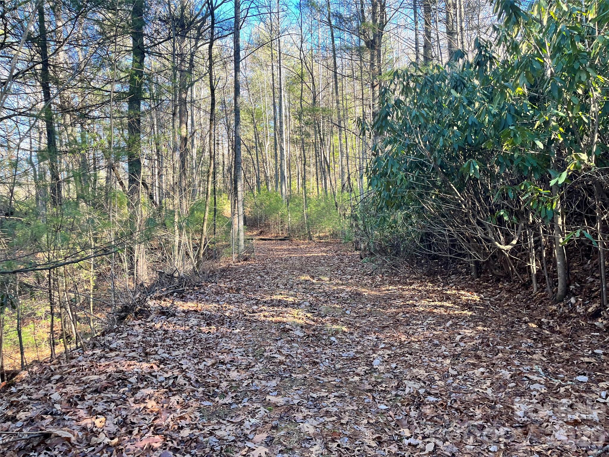 999 Trellum Trail Hendersonville NC 28739
