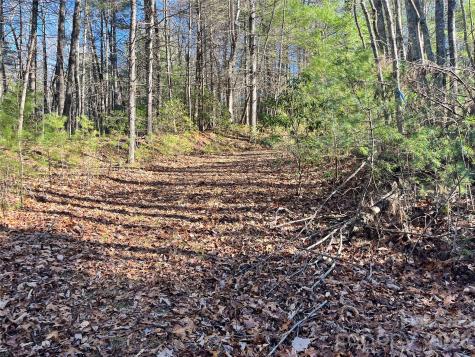 999 Trellum Trail Hendersonville NC 28739