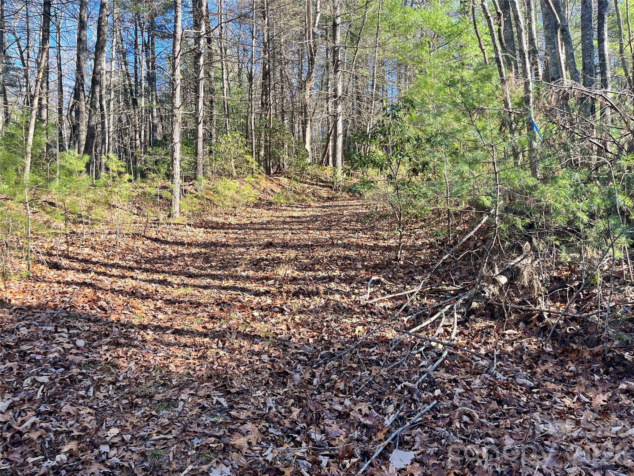 999 Trellum Trail Hendersonville NC 28739