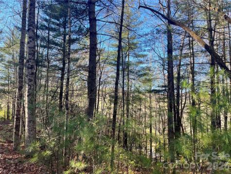 999 Trellum Trail Hendersonville NC 28739