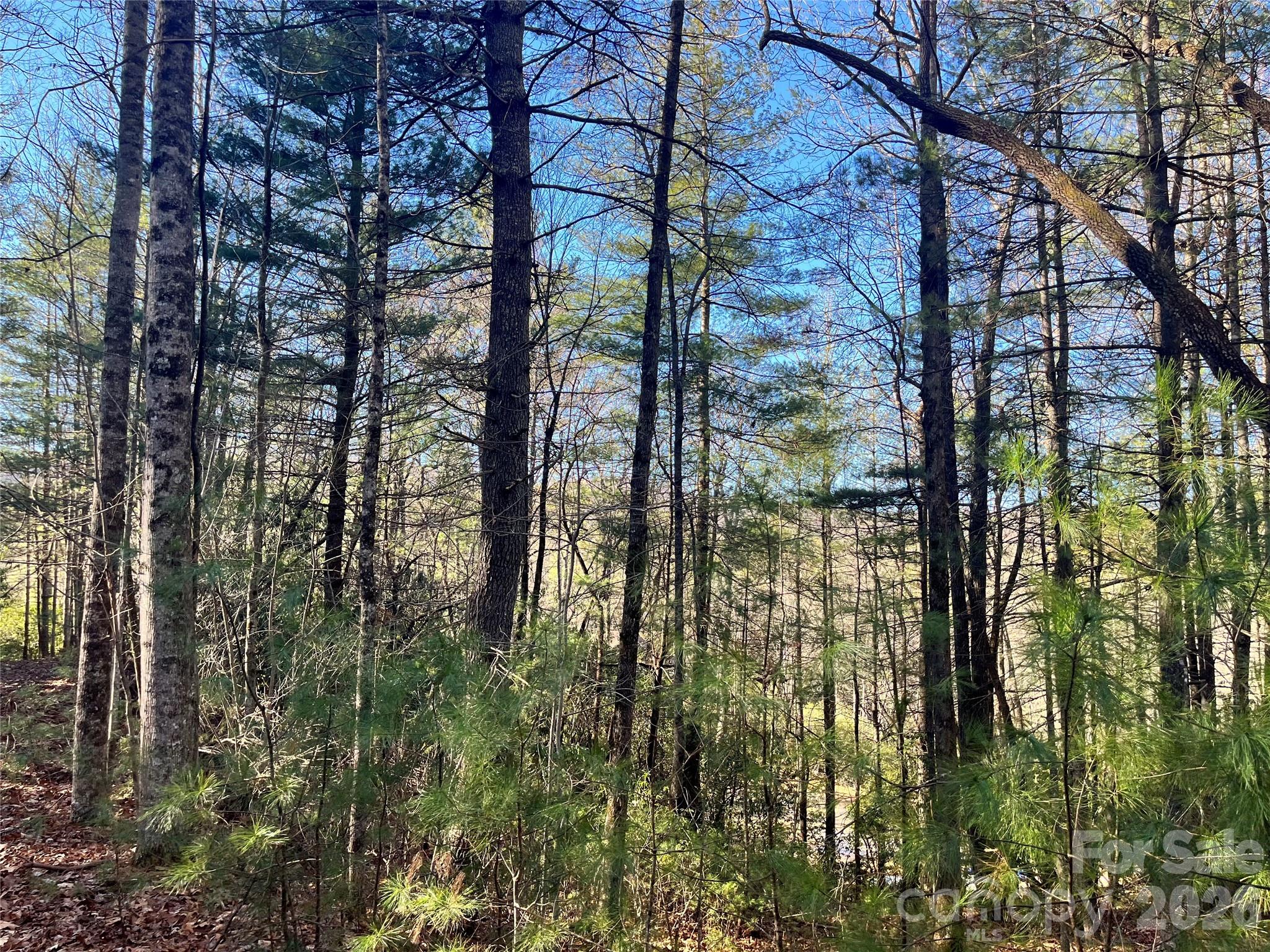 999 Trellum Trail Hendersonville NC 28739