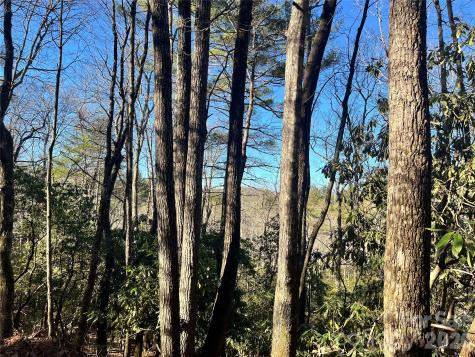 999 Trellum Trail Hendersonville NC 28739