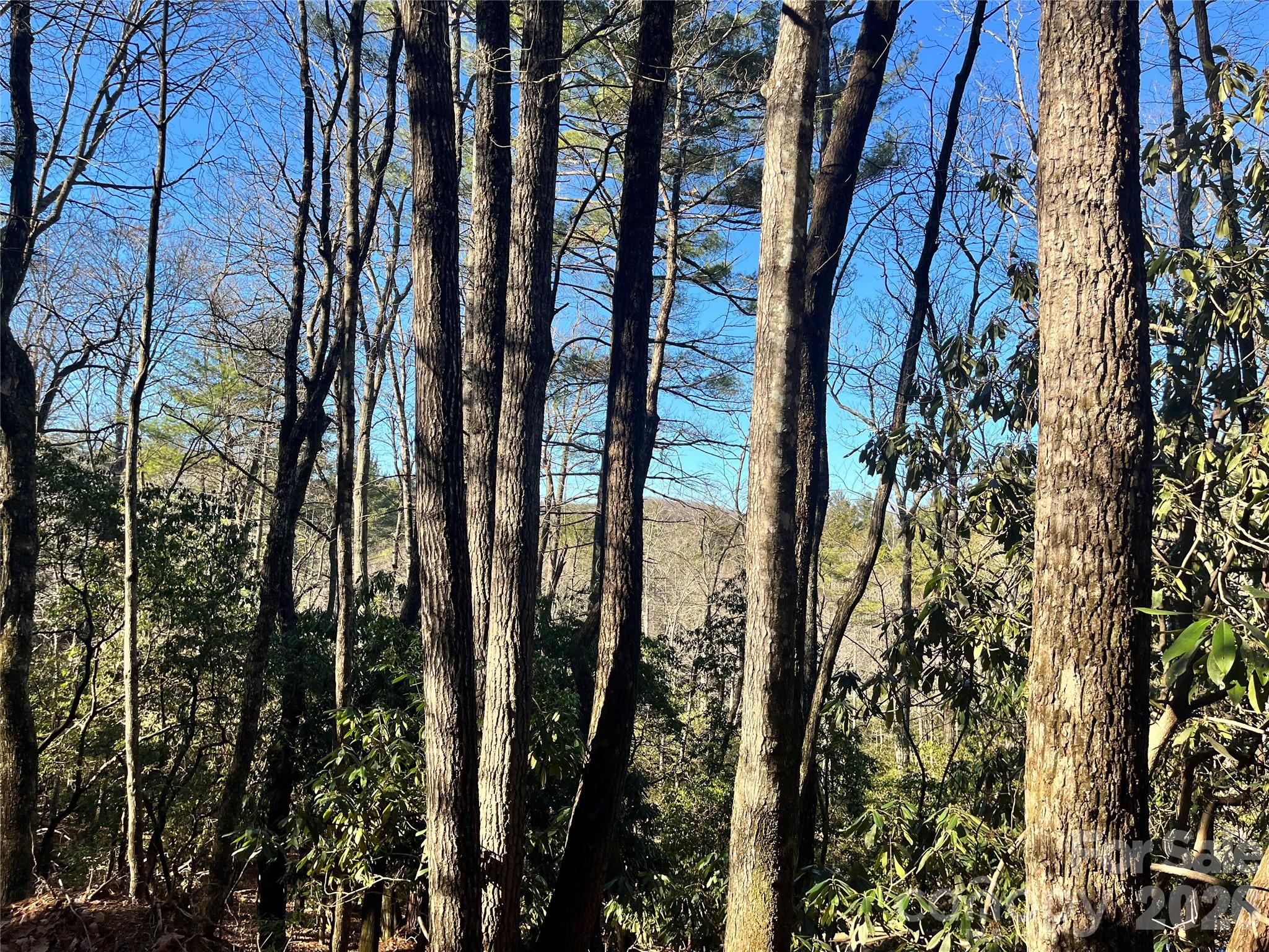 999 Trellum Trail Hendersonville NC 28739