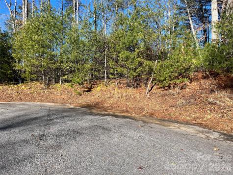 999 Trellum Trail Hendersonville NC 28739