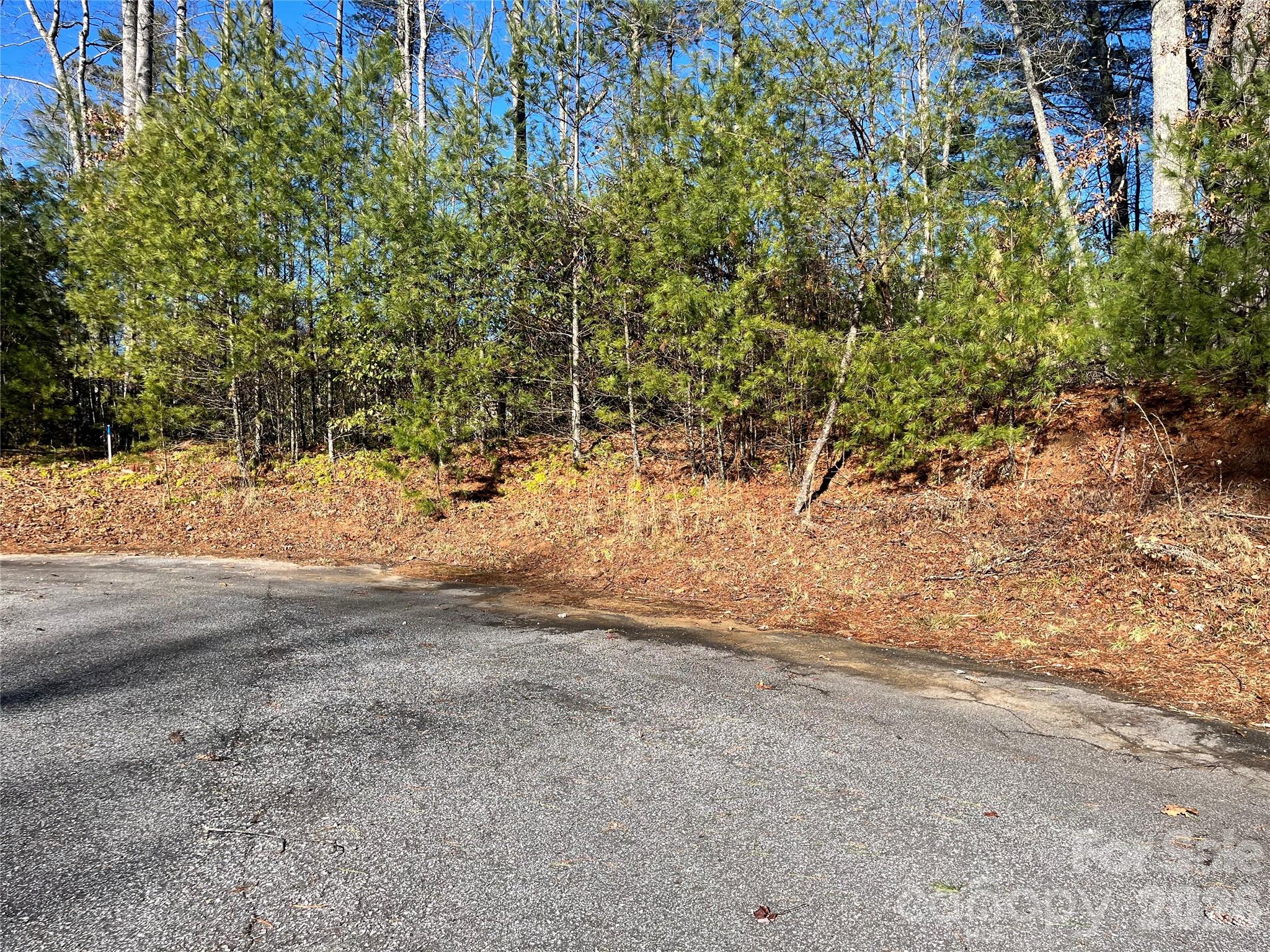 999 Trellum Trail Hendersonville NC 28739
