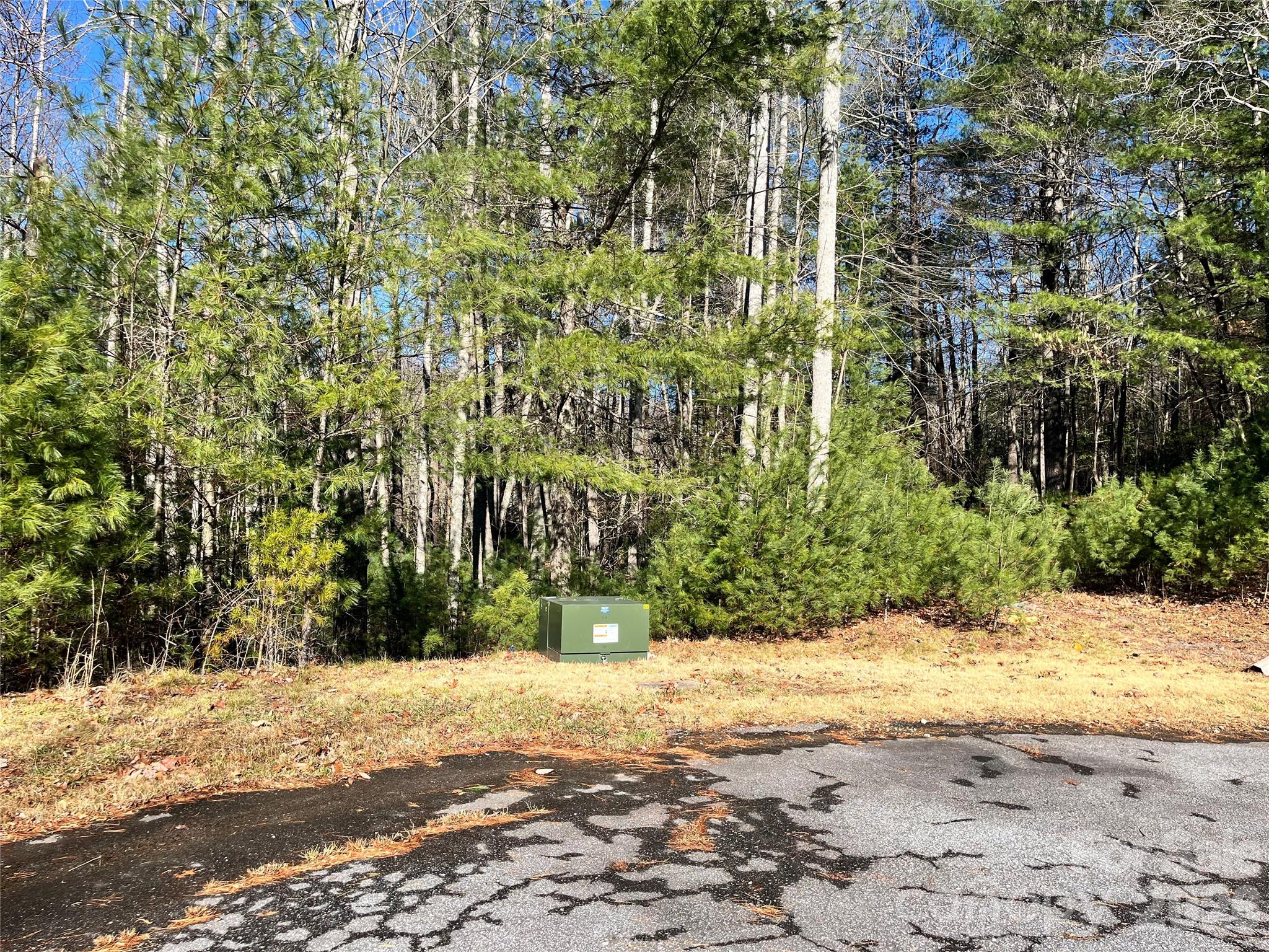 999 Trellum Trail Hendersonville NC 28739