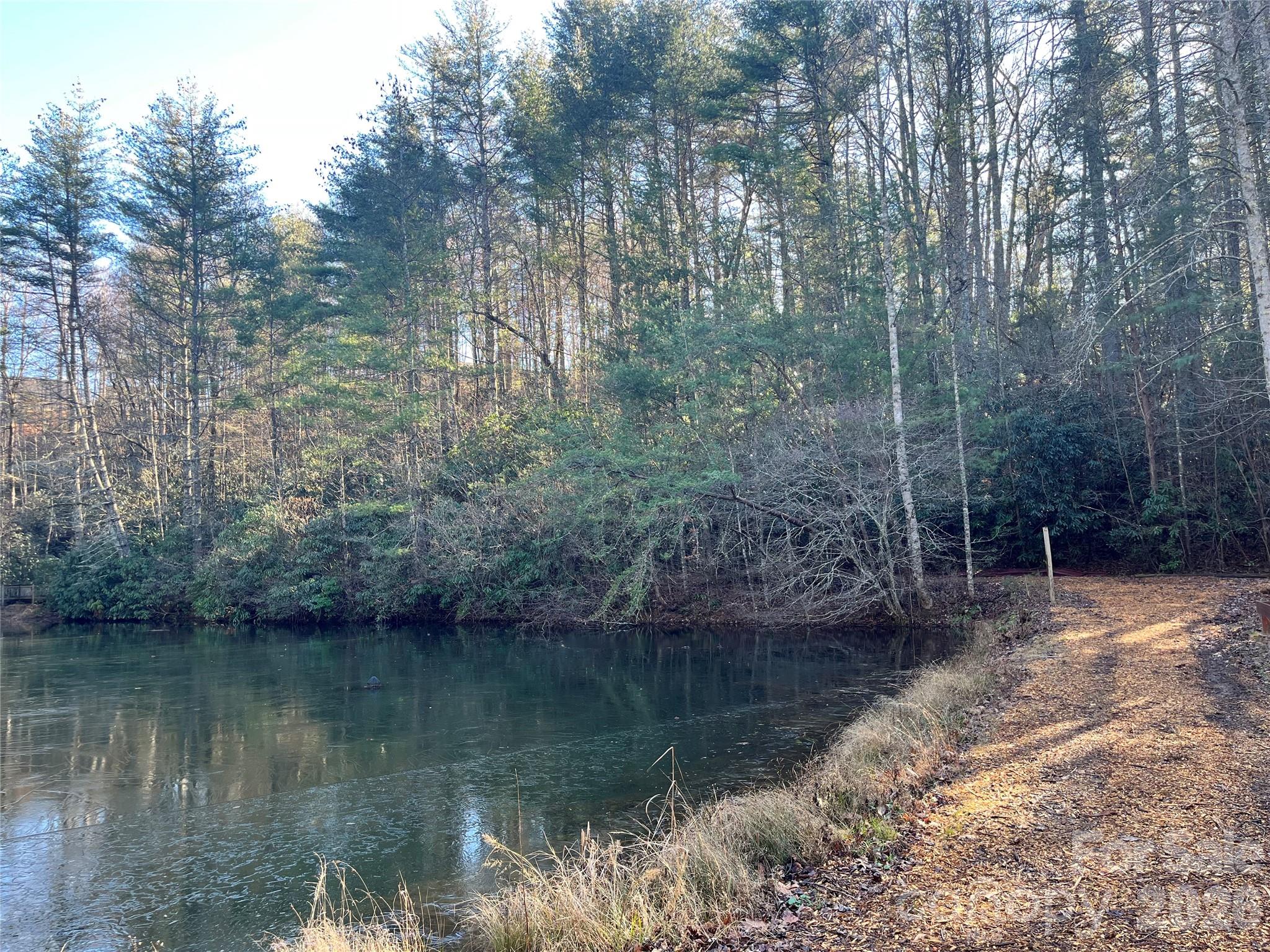 999 Trellum Trail Hendersonville NC 28739