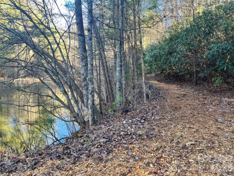 999 Trellum Trail Hendersonville NC 28739