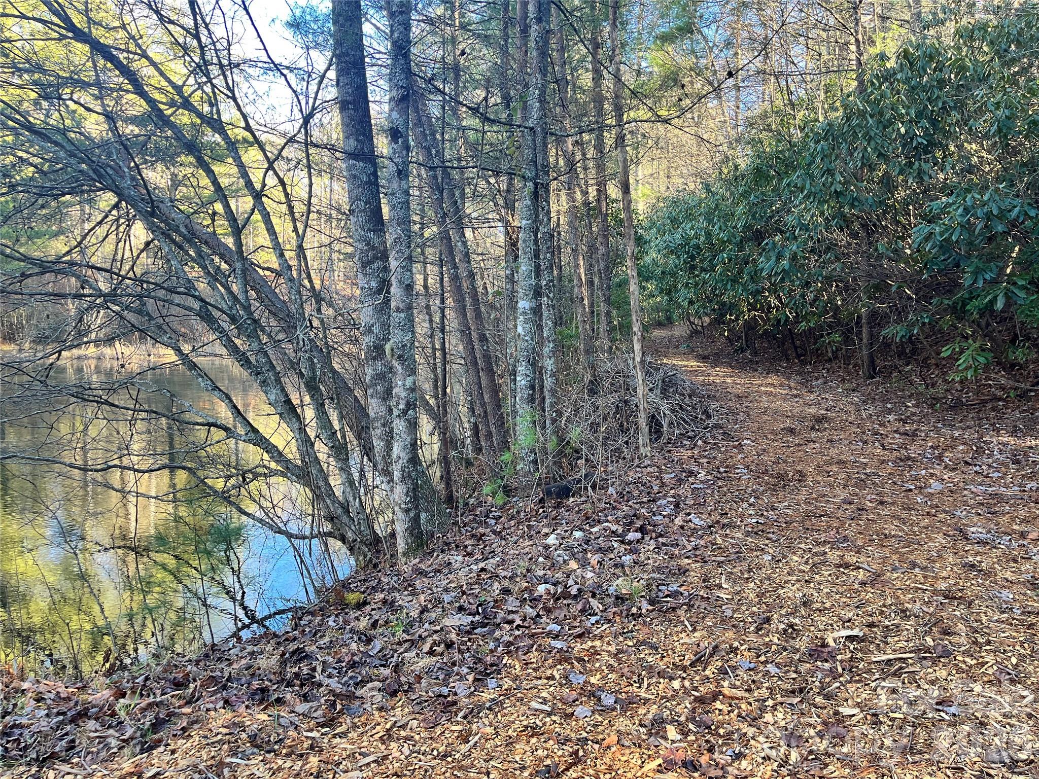 999 Trellum Trail Hendersonville NC 28739