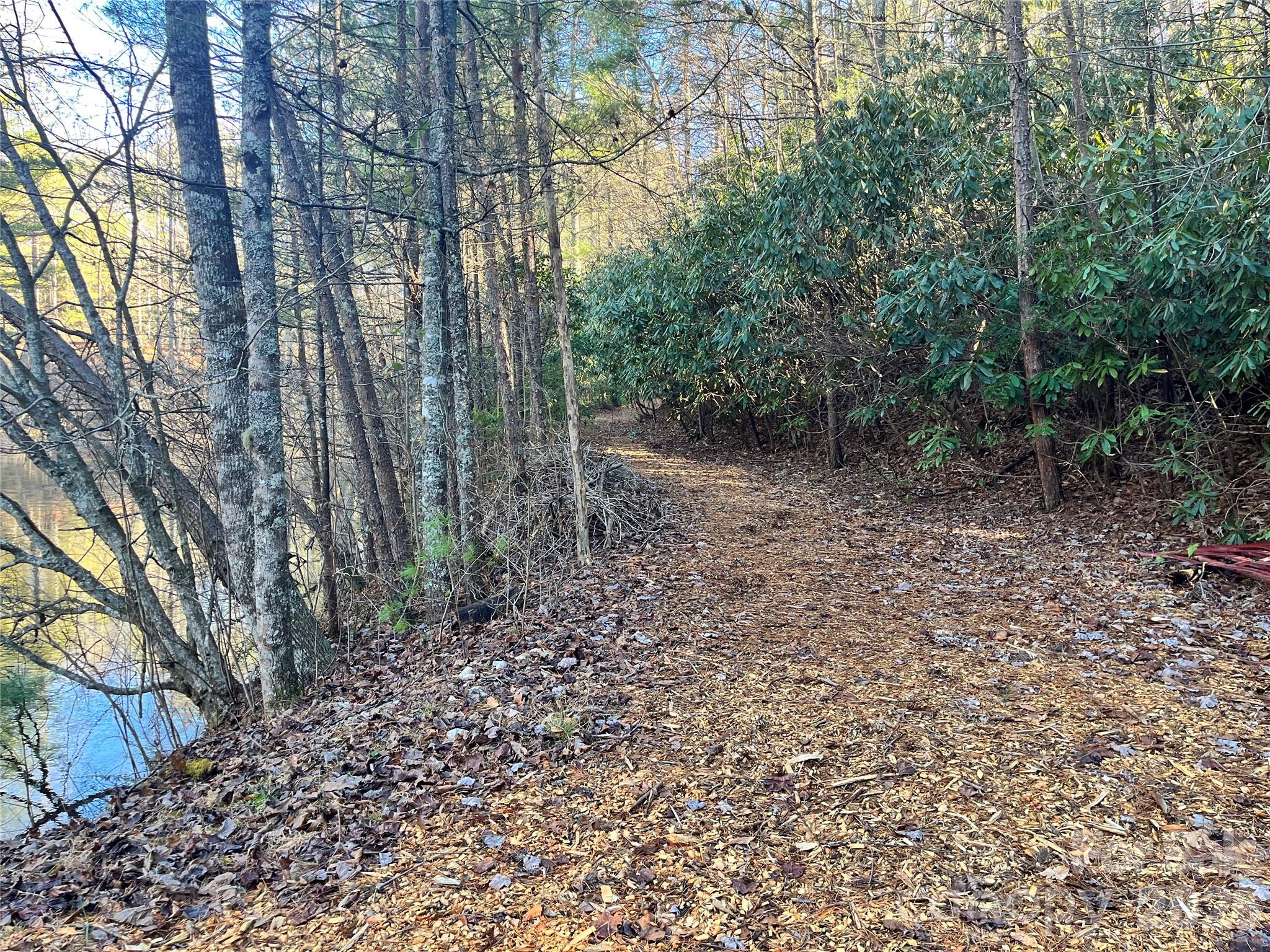 999 Trellum Trail Hendersonville NC 28739