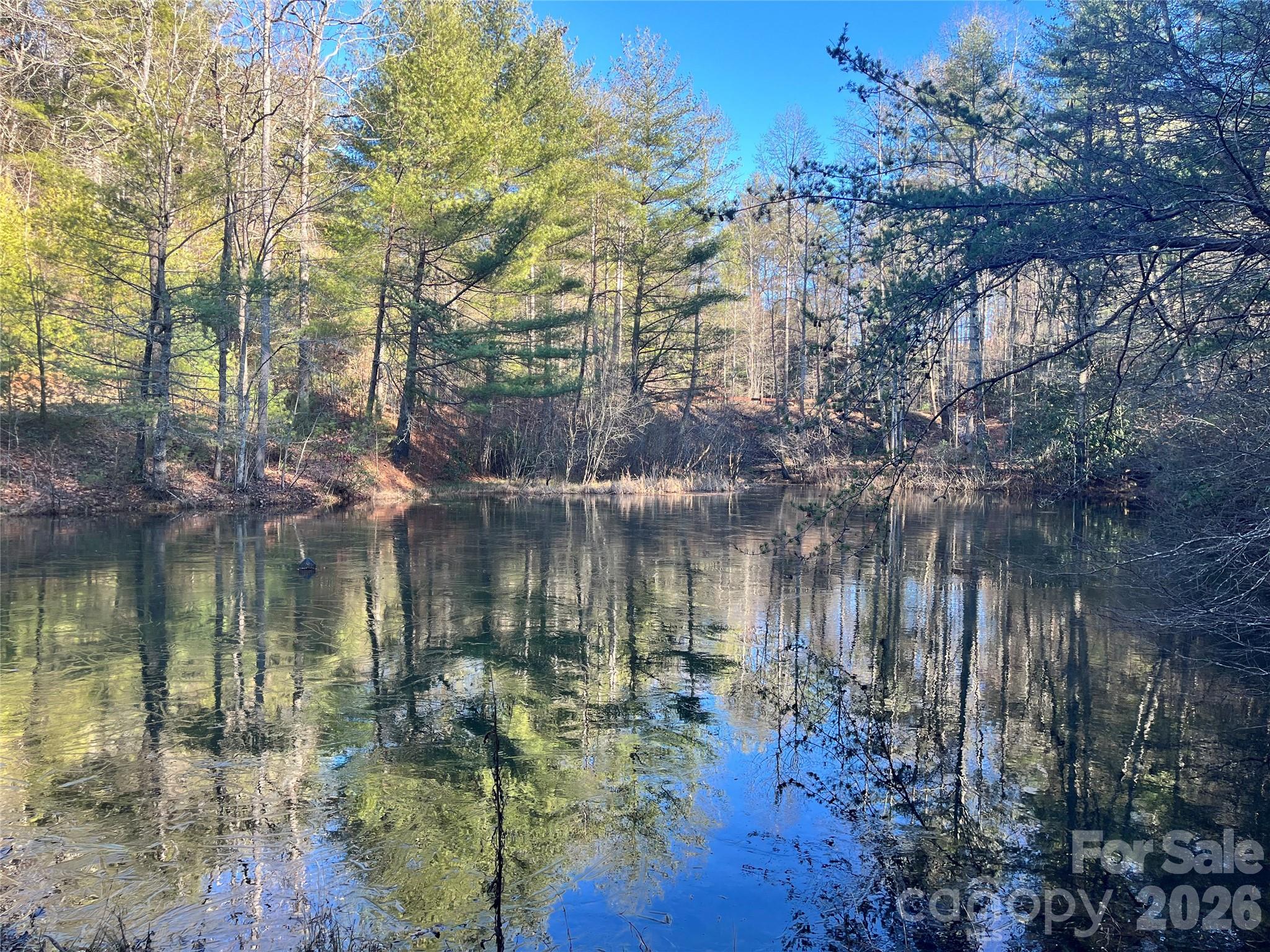 999 Trellum Trail Hendersonville NC 28739
