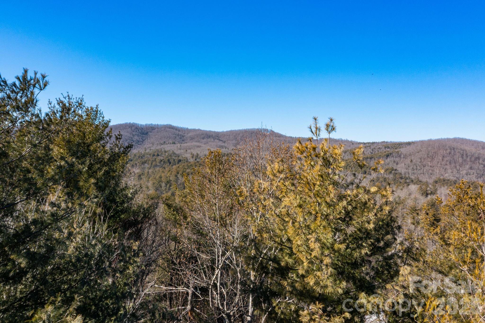 999 Trellum Trail Hendersonville NC 28739