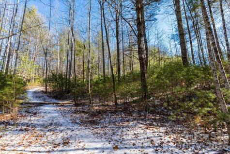 999 Trellum Trail Hendersonville NC 28739