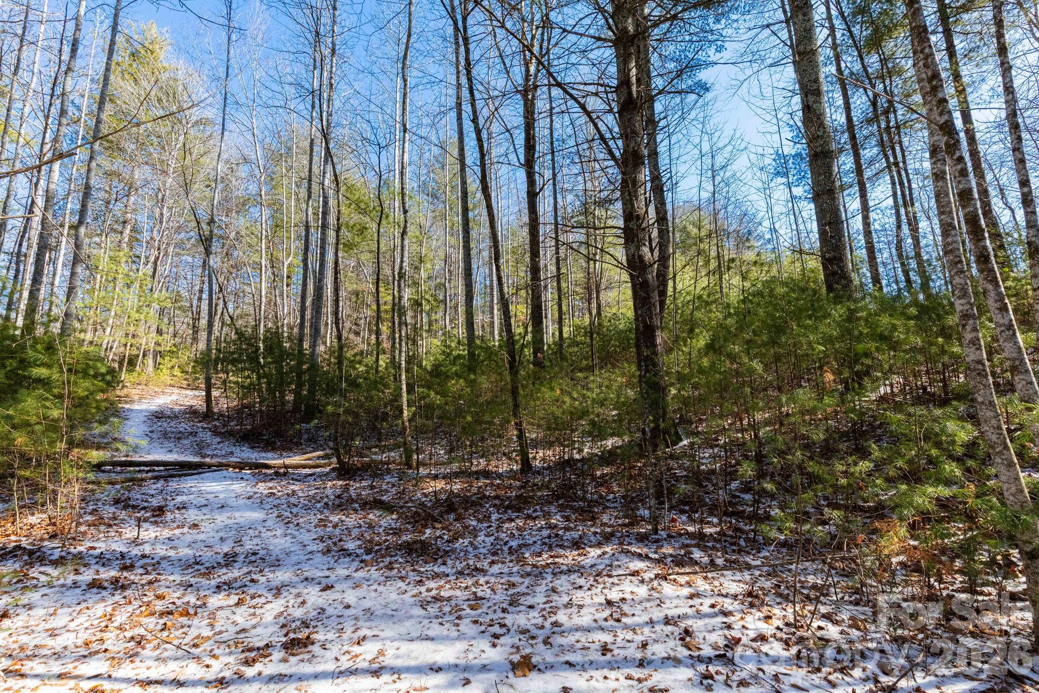 999 Trellum Trail Hendersonville NC 28739