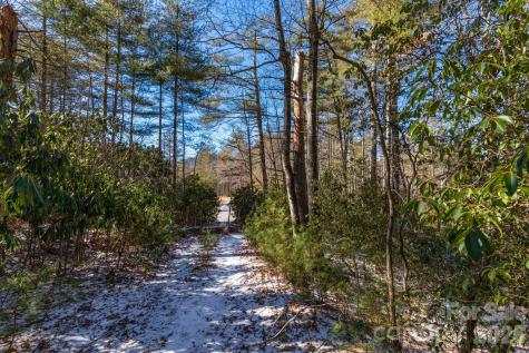 999 Trellum Trail Hendersonville NC 28739
