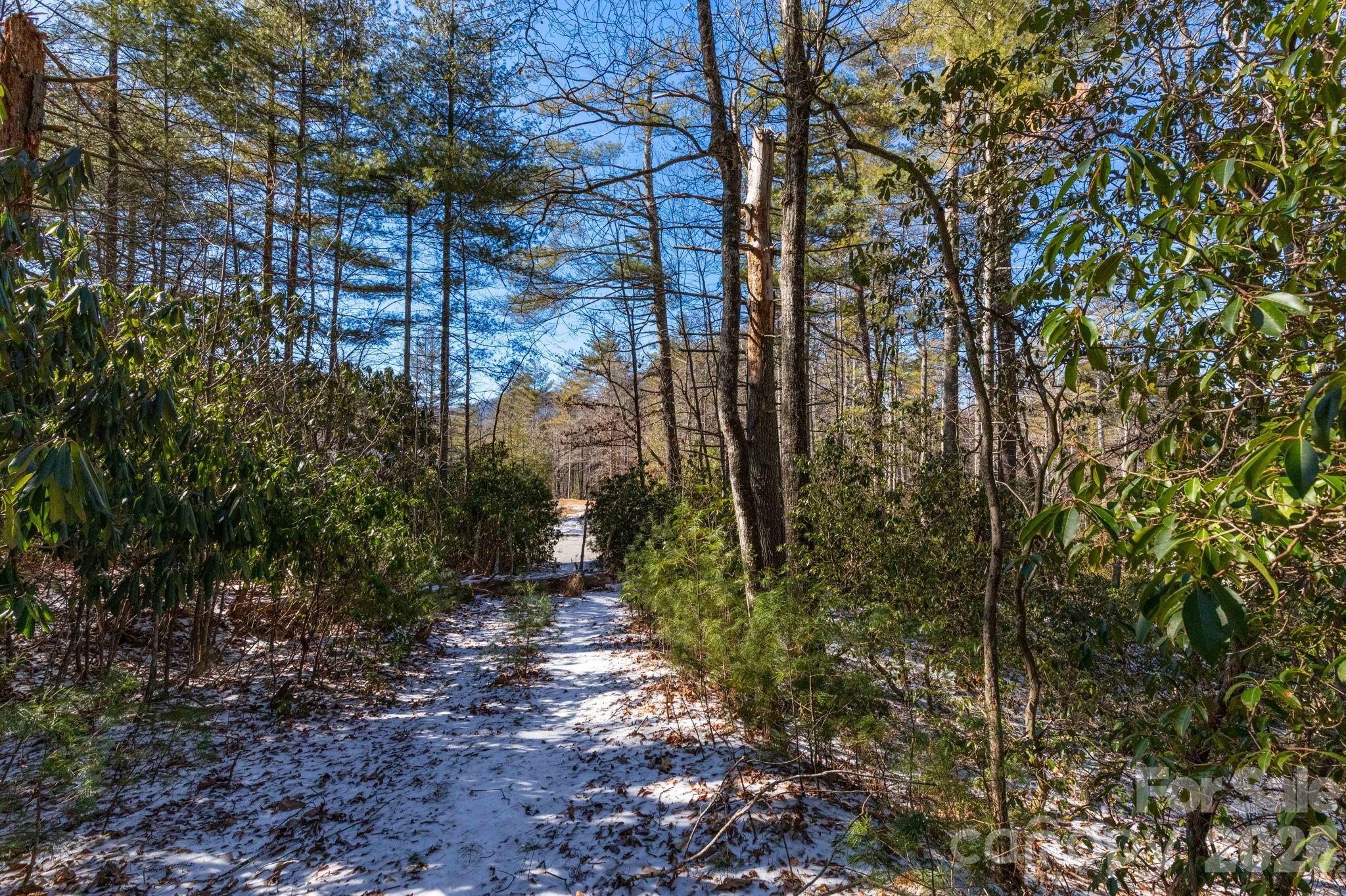 999 Trellum Trail Hendersonville NC 28739