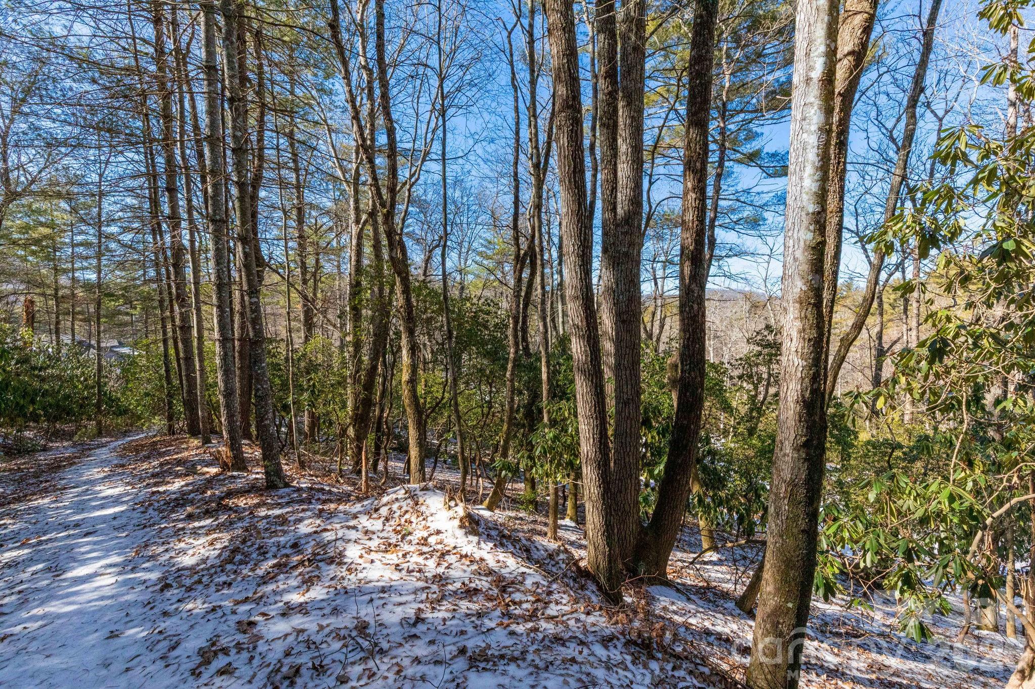 999 Trellum Trail Hendersonville NC 28739