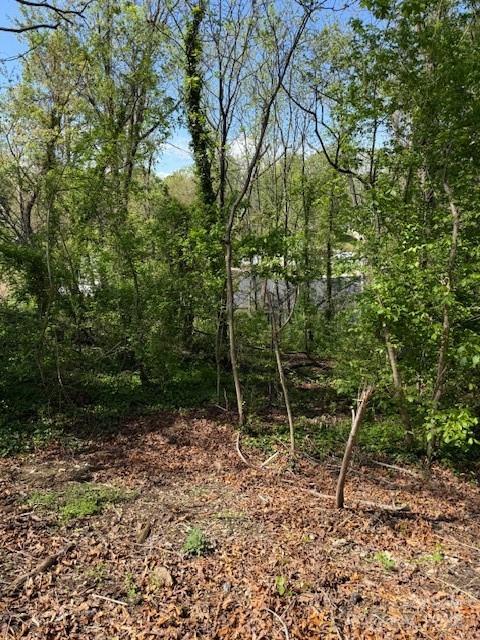 99999 Reese Street Woodfin NC 28804