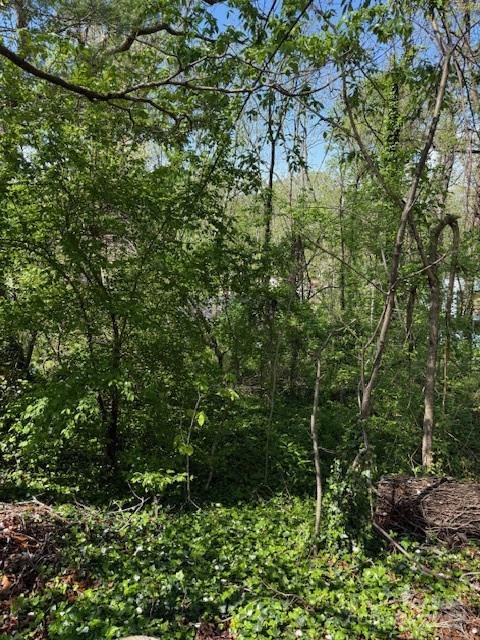 99999 Reese Street Woodfin NC 28804